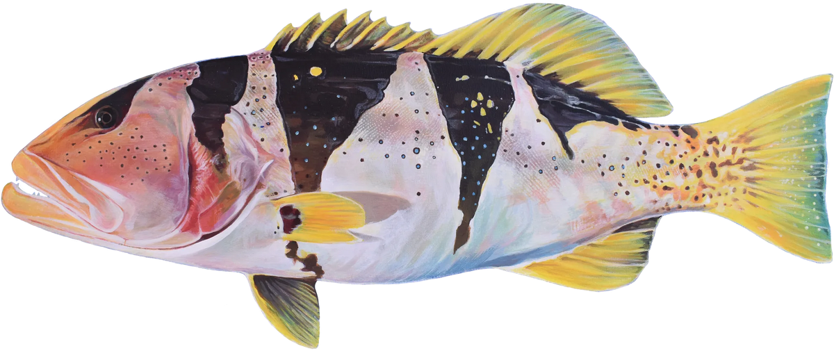 Footballer Coral Trout — the hand-painted design