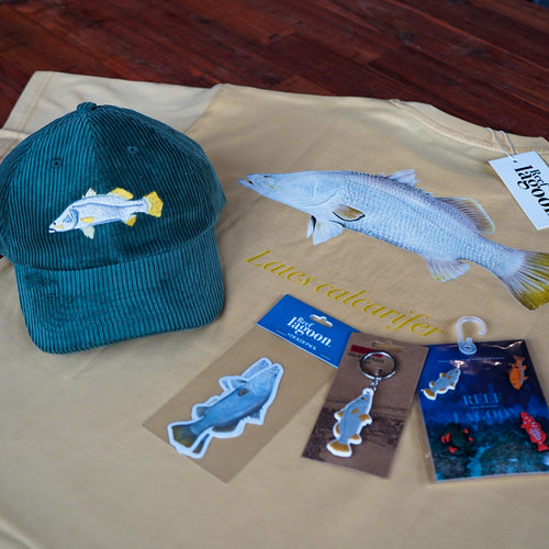 Barramundi Bundle