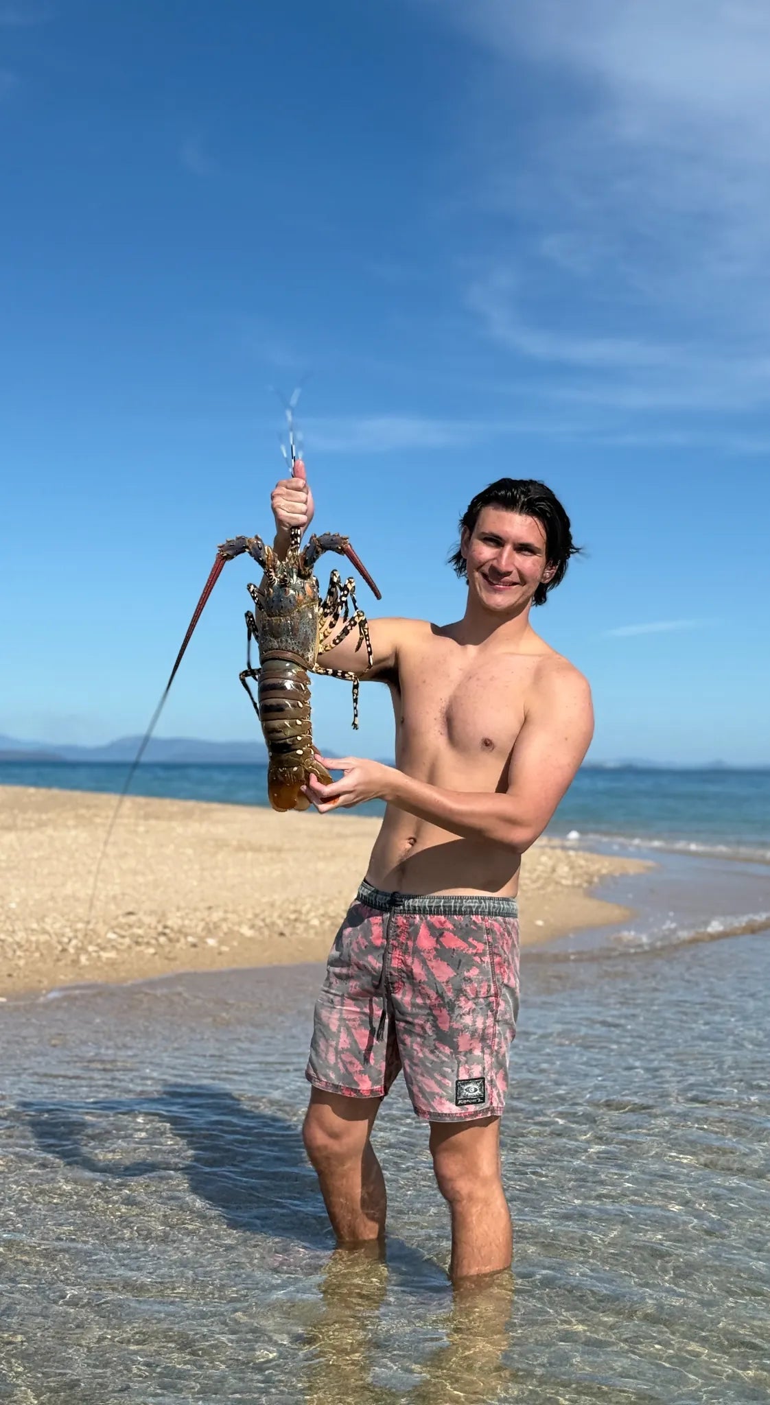 Ornate Crayfish — the real fish
