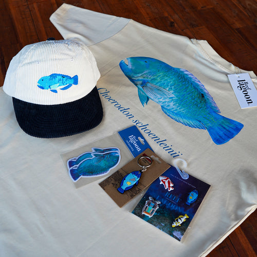 Blackspot Tuskfish Bundle